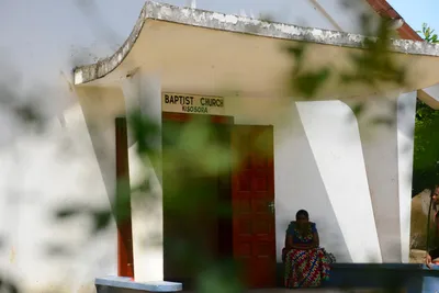 DSC_9013 (Large).JPG